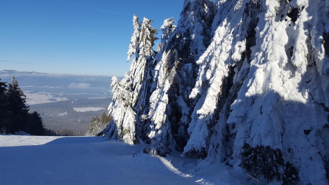 Ferienwohnung Am Kirchberg Achslach Luaran gambar